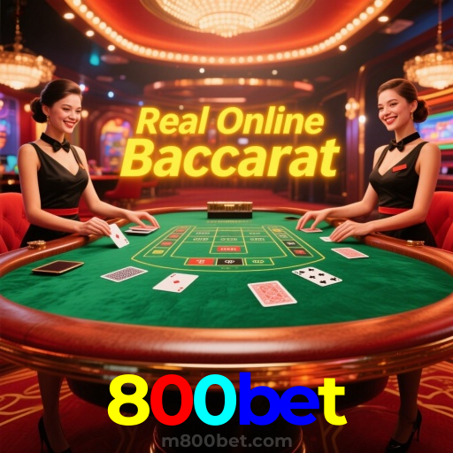 800bet 3